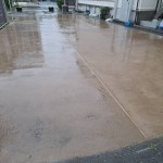 一之江中央公園整備後